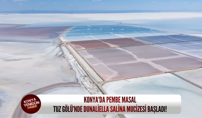 Konya'da pembe masal: Tuz Gölü’nde dunaliella salina mucizesi başladı!