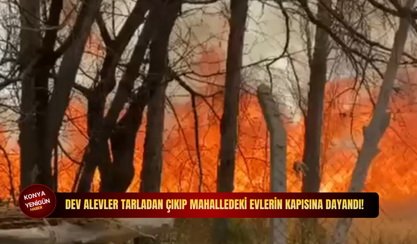 Dev alevler tarladan çıkıp mahalledeki evlerin kapısına dayandı!