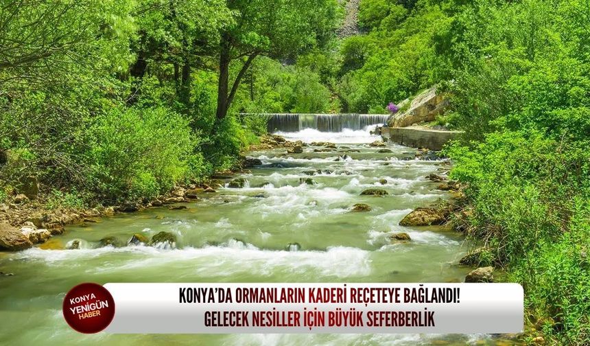 Konya’da ormanların kaderi reçeteye bağlandı! Gelecek nesiller için büyük seferberlik