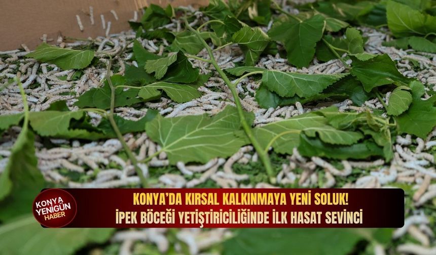 Konya’da kırsal kalkınmaya yeni soluk: İpek böceği yetiştiriciliğinde i̇lk hasat sevinci!