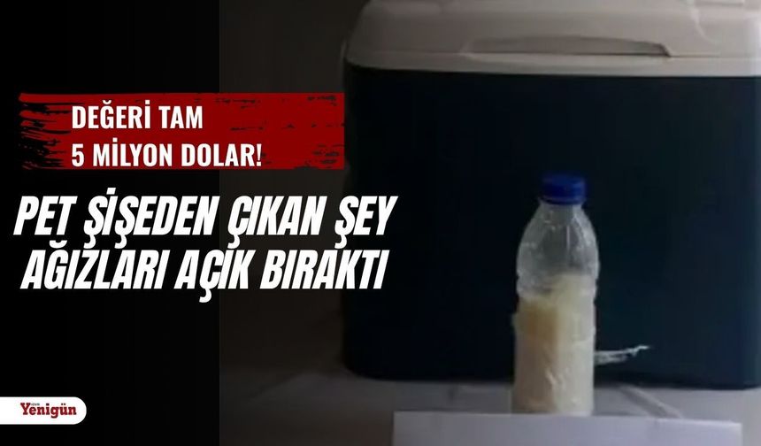 Pet şişeden çıkan şey ağızları açık bıraktı: Değeri tam 5 milyon dolar!