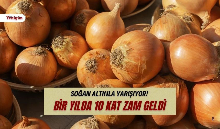 Soğan fiyatları durmuyor! Markette kilosu 75 TL'yi gördü