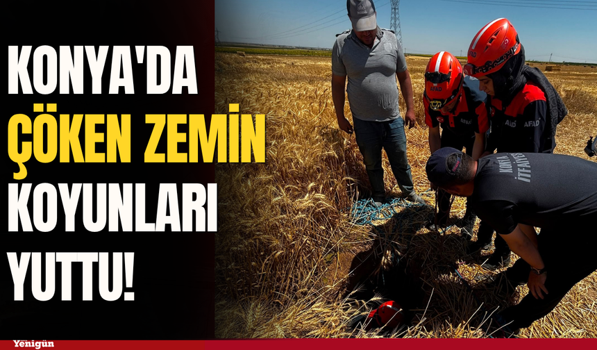 Konya'da çöken zemin koyunları yuttu!