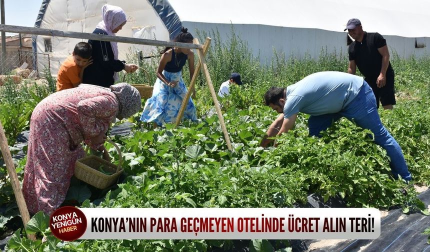 Konya’nın para geçmeyen otelinde ücret alın teri!