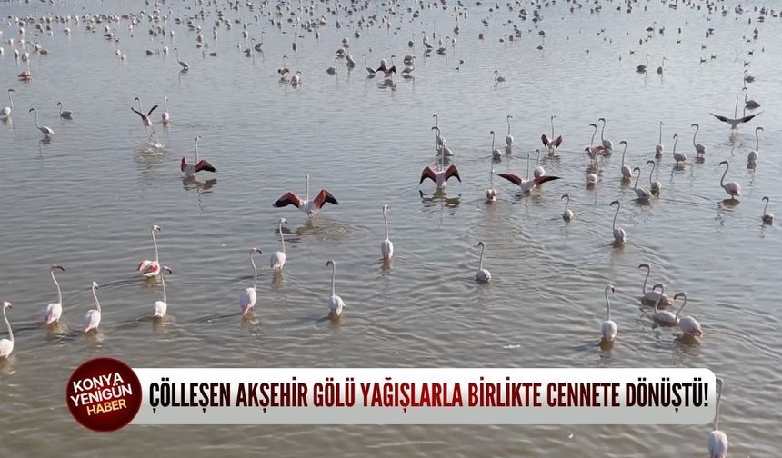 Çölleşen Akşehir Gölü yağışlarla birlikte cennete dönüştü!