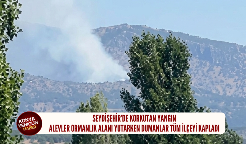 Seydişehir’de korkutan yangın: Alevler ormanlık alanı yutarken dumanlar tüm ilçeyi kapladı