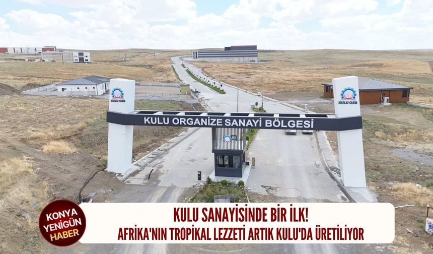 Afrika'nın tropikal lezzeti artık Kulu'da üretiliyor