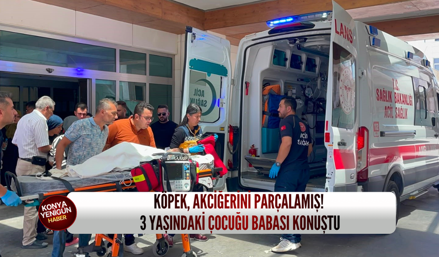 Köpeğin saldırdığı 3 yaşındaki çocuğun babası Konya'da konuştu