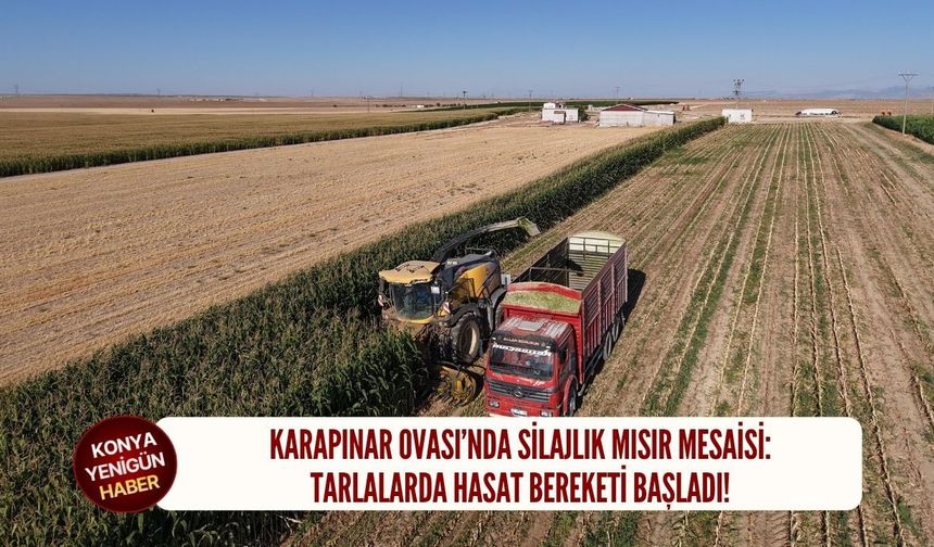 Karapınar tarlalarında hasat bereketi başladı!