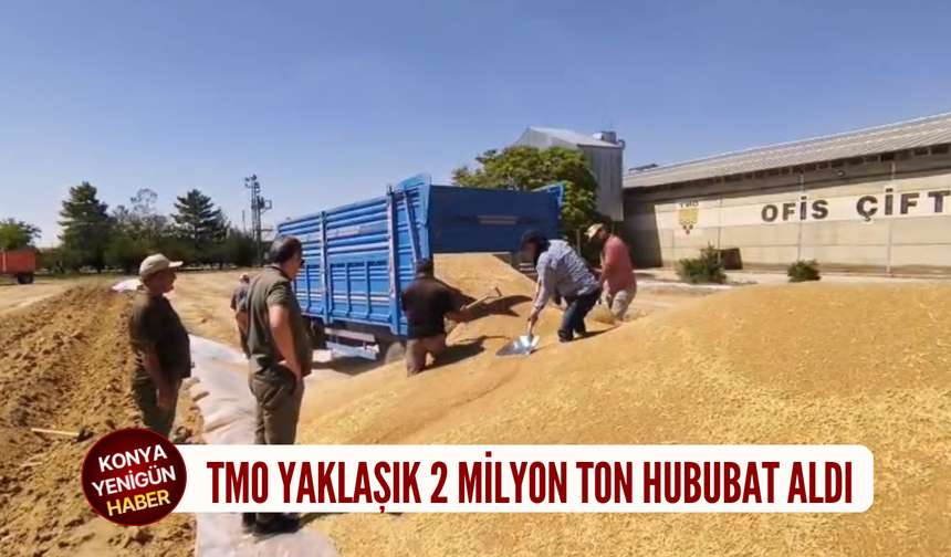 Konya’da hasat bereketi! TMO yaklaşık 2 milyon ton hububat aldı