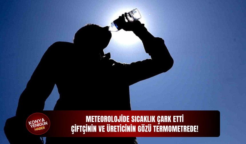 Meteorolojide sıcaklık çark etti: Çiftçinin ve üreticinin gözü termometrede!