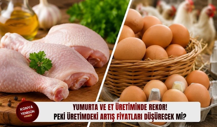 Yumurta ve et üretiminde rekor! Peki üretimdeki artış fiyatları düşürecek mi?