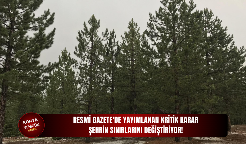 Resmi Gazete'de yayımlanan kritik karar şehrin sınırlarını değiştiriyor!