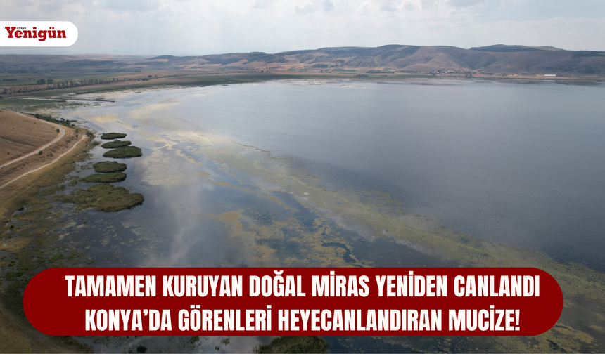 Tamamen kuruyan doğal miras yeniden canlandı: Konya’da görenleri heyecanlandıran mucize!