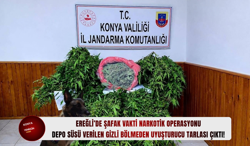Ereğli’de şafak vakti narkotik operasyonu: Depo süsü verilen gizli bölmeden uyuşturucu tarlası çıktı!