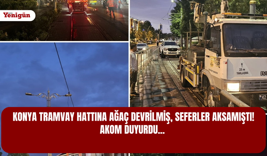 Konya tramvay hattına ağaç devrildi! İşte seferlerle ilgili son durum…