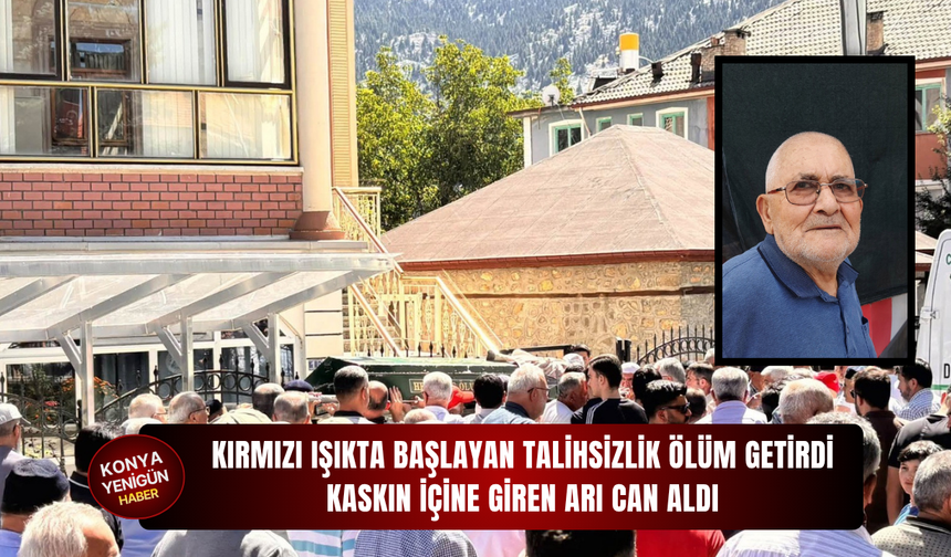 Kırmızı ışıkta başlayan talihsizlik ölüm getirdi: Kaskın içine giren arı can aldı