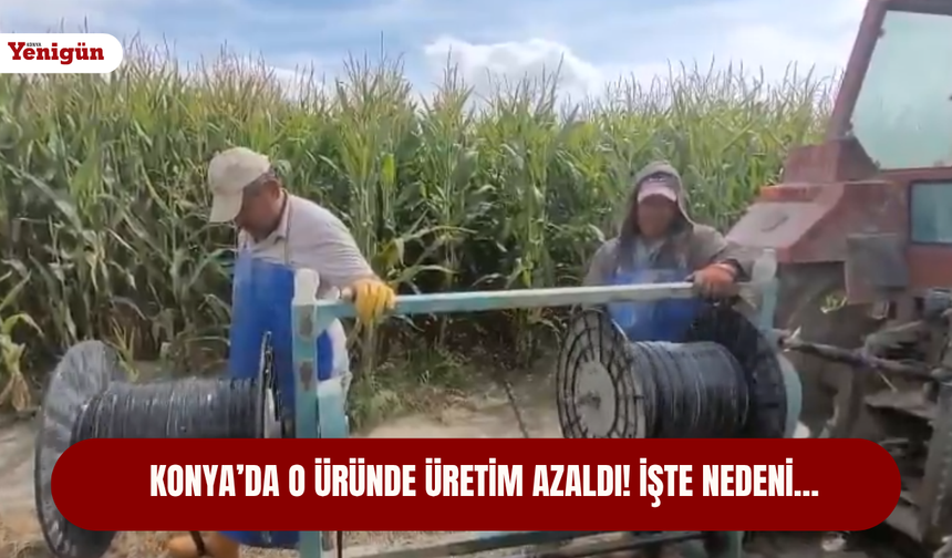 Konya’da o üründe üretim azaldı! İşte nedeni…
