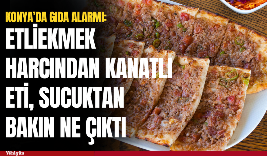 Konya’da gıda alarmı: Etliekmek harcından kanatlı eti, sucuktan bakın ne çıktı