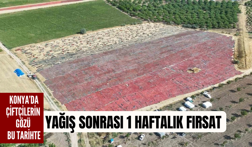 Konya’da çiftçilerin gözü bu tarihte: Yağış sonrası 1 haftalık fırsat