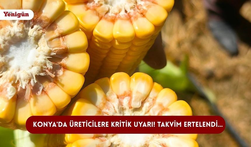 Konya'da üreticilere kritik uyarı! Takvim ertelendi...
