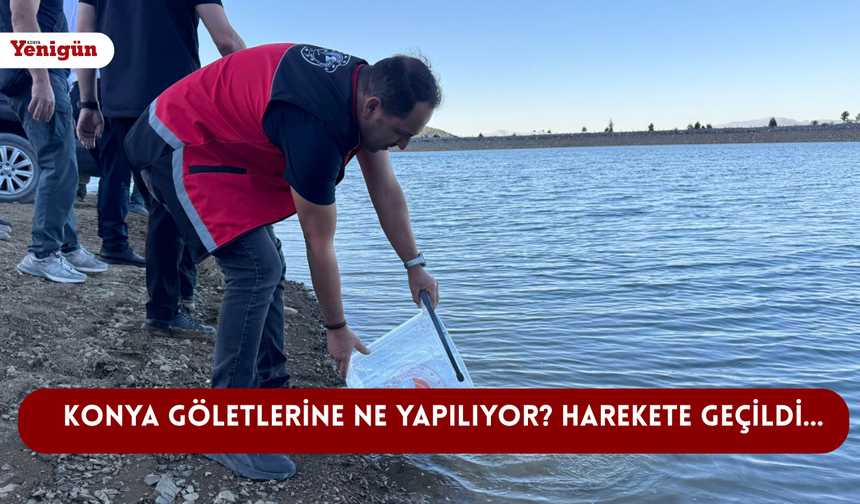 Konya göletlerine ne yapılıyor? Harekete geçildi…