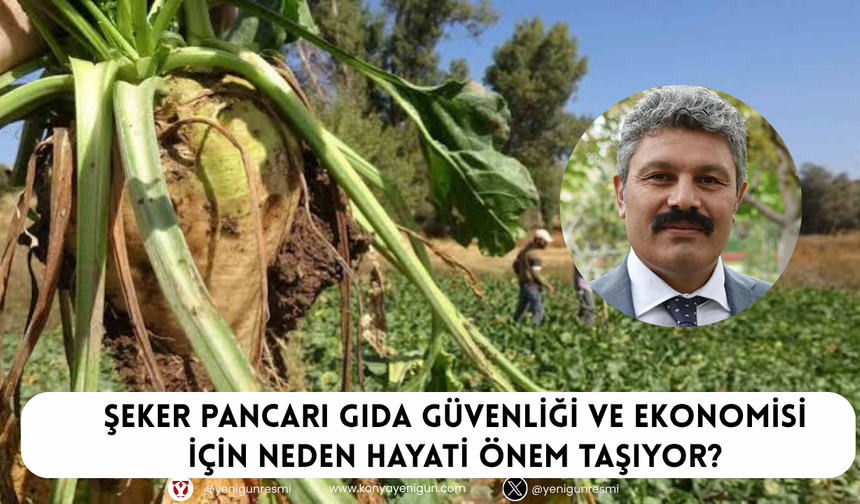 Şeker pancarı gıda güvenliği ve ekonomisi için neden hayati önem taşıyor?