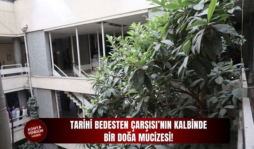 Tarihi Bedesten Çarşısı’nın kalbinde bir doğa mucizesi!