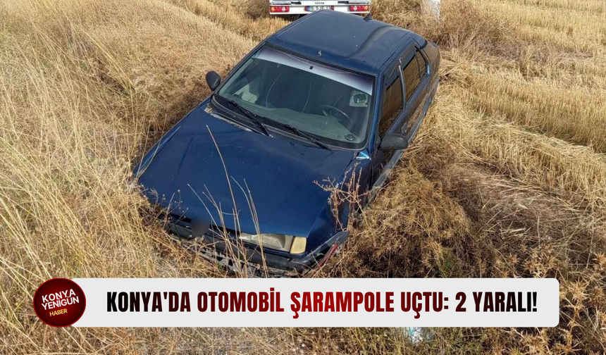 Konya'da otomobil şarampole uçtu: 2 yaralı!