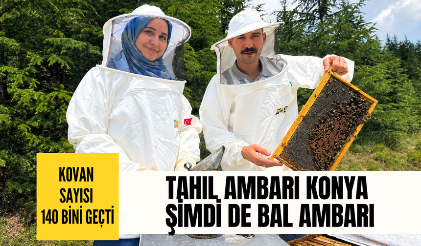 Tahıl ambarı Konya şimdi de bal ambarı: Kovan varlığı 140 bini aştı