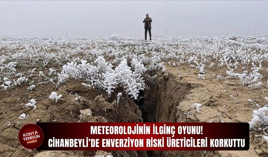 Cihanbeyli’de enverziyon riski üreticileri korkuttu