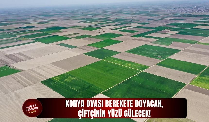 Konya Ovası berekete doyacak, çiftçinin yüzü gülecek!