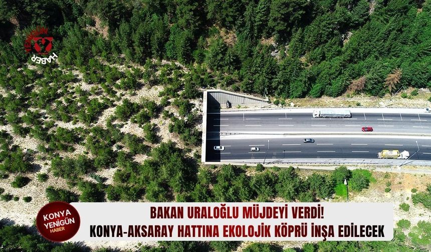 Konya-Aksaray hattına ekolojik köprü inşa edilecek!
