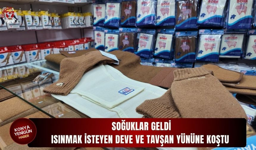 Soğuklar geldi ısınmak i̇steyen deve ve tavşan yününe koştu