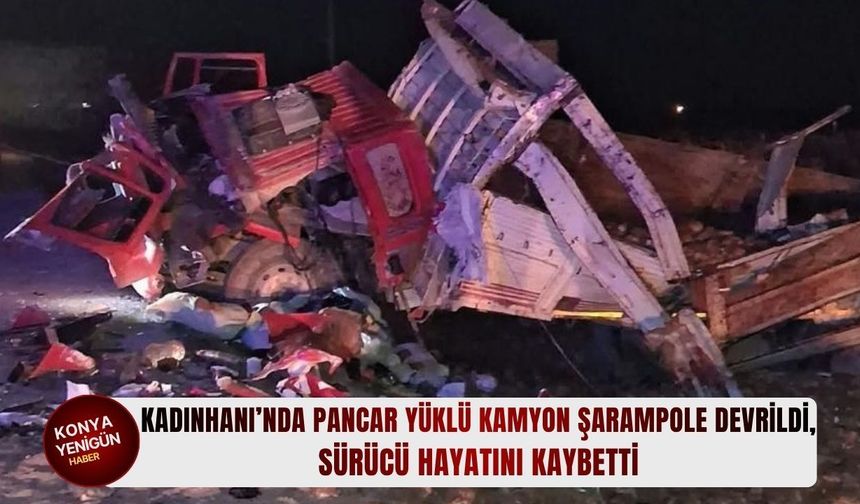 Pancar yüklü kamyon şarampole devrildi!