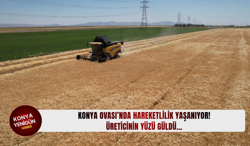 Konya Ovası’nda hareketlilik yaşanıyor! Üreticinin yüzü güldü…