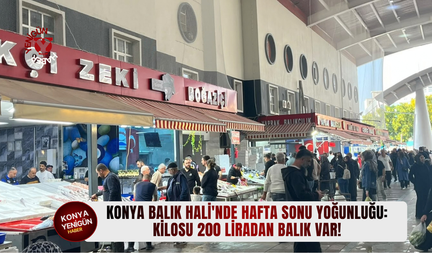 Konya Balık Hali'nde hafta sonu yoğunluğu: Kilosu 200 liradan balık var!