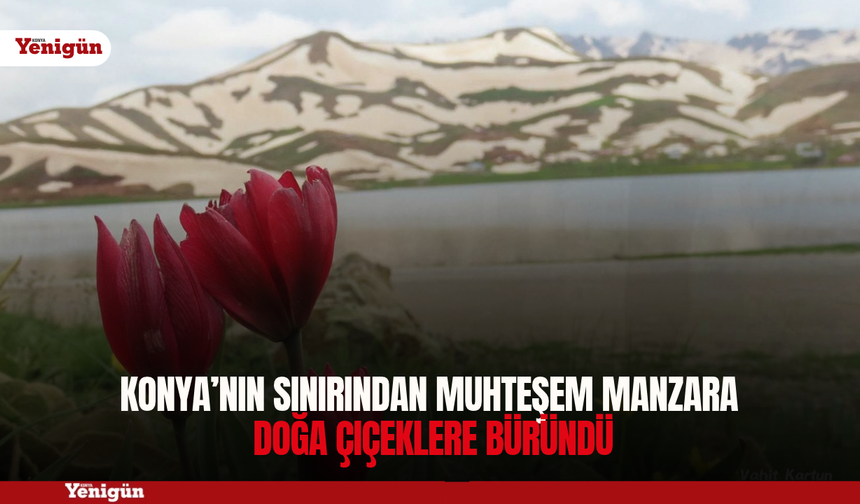 Konya’nın sınırından muhteşem manzara; doğa çiçeklere büründü