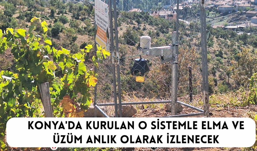 Konya'da kurulan o sistemle elma ve üzüm anlık olarak izlenecek