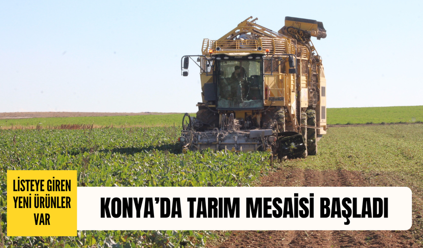 Tarımın başkentinde tarlalar hareketlendi: Listede yeni ürünler var