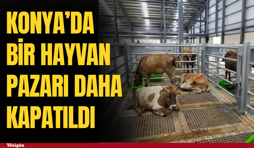 Konya’da şap tedbiri büyüyor! Bir hayvan pazarı daha kapandı