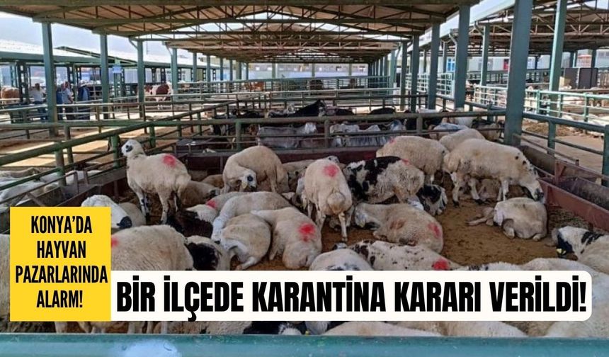 Konya’da hayvan pazarlarında alarm! Akşehir’de karantina kararı!