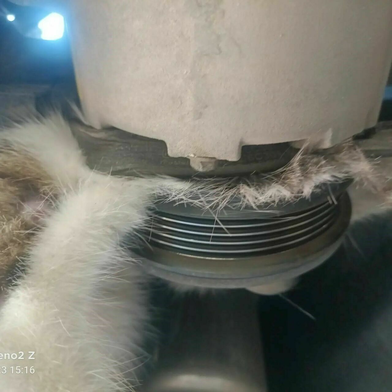 AW921350_01