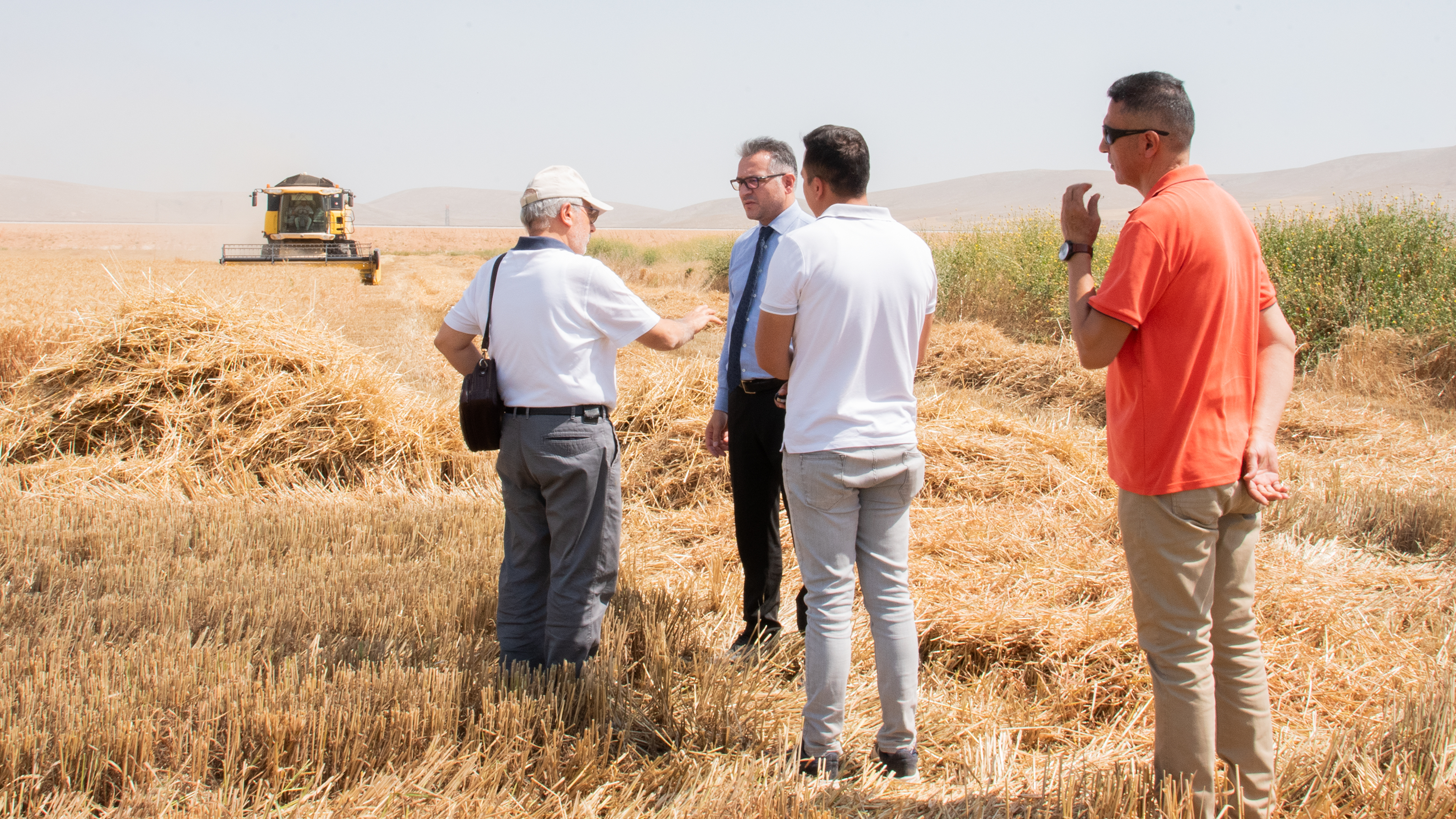 Selçuk Üniversitesi Sarıcalar Araştırma ve Uygulama Çiftliği’nde buğday hasadı başladı (4)
