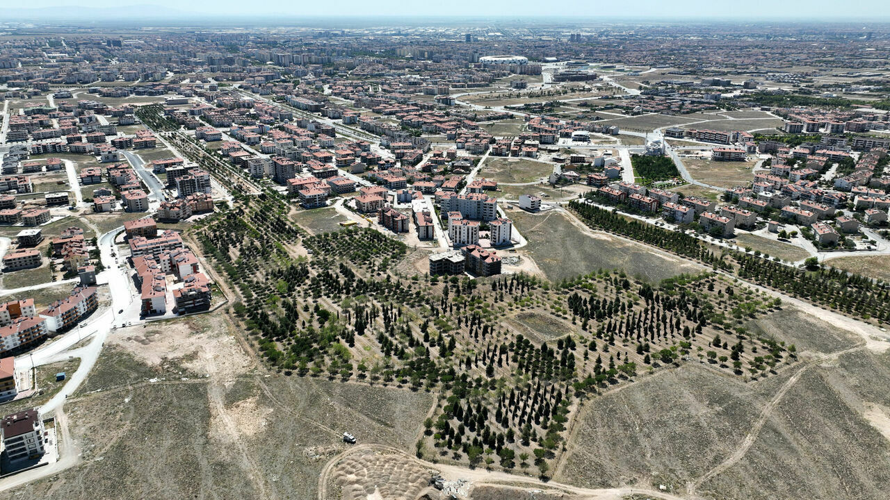 DJI_0515