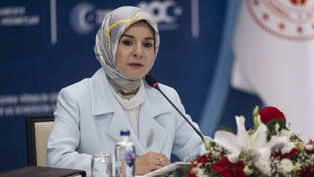 Mahinur Ozdemir Goktasaa 2239826-2