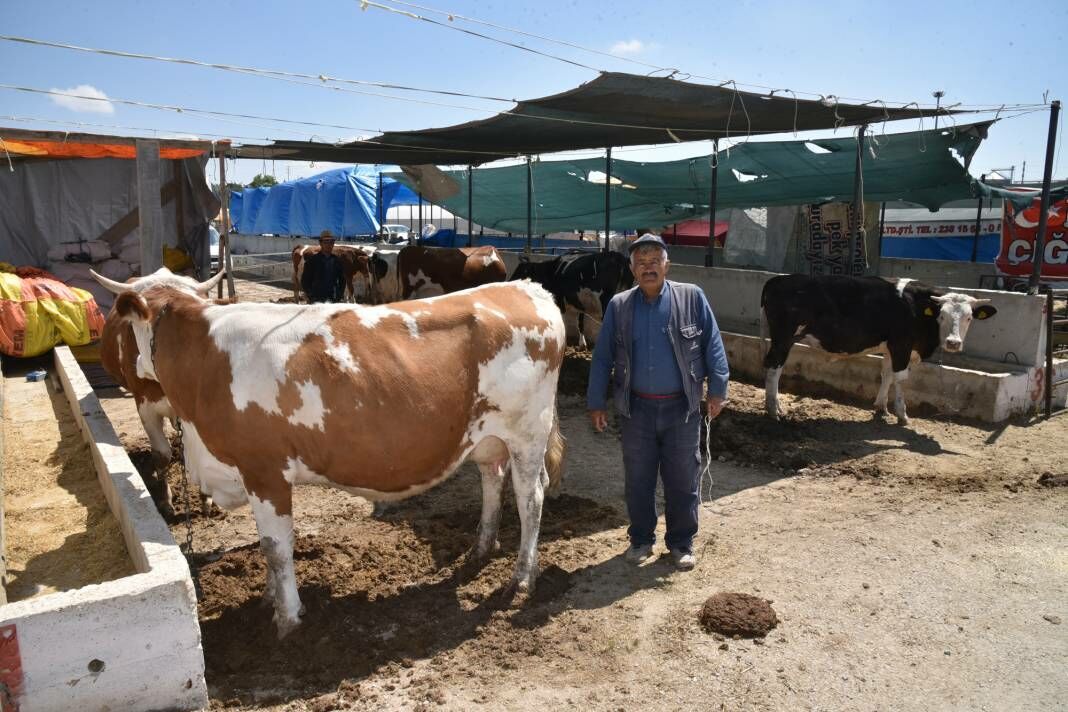 Konya Selçuklu’da Kurban Satış Ve Kesim Yerleri 2024 Belli Oldu 12