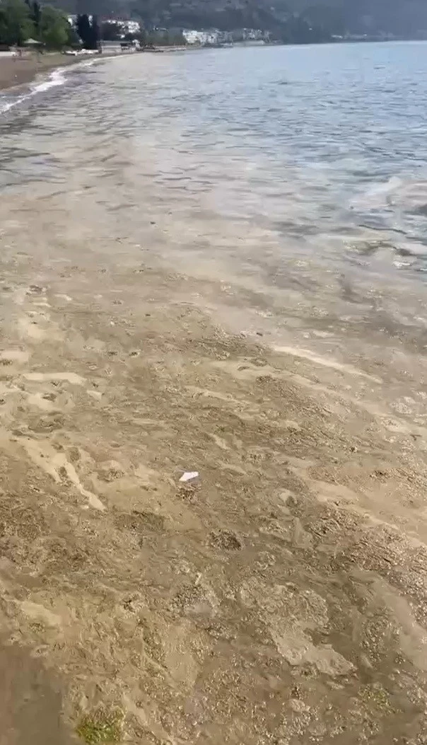 Marmaranin Turistik Korfezi Musila B0Ha