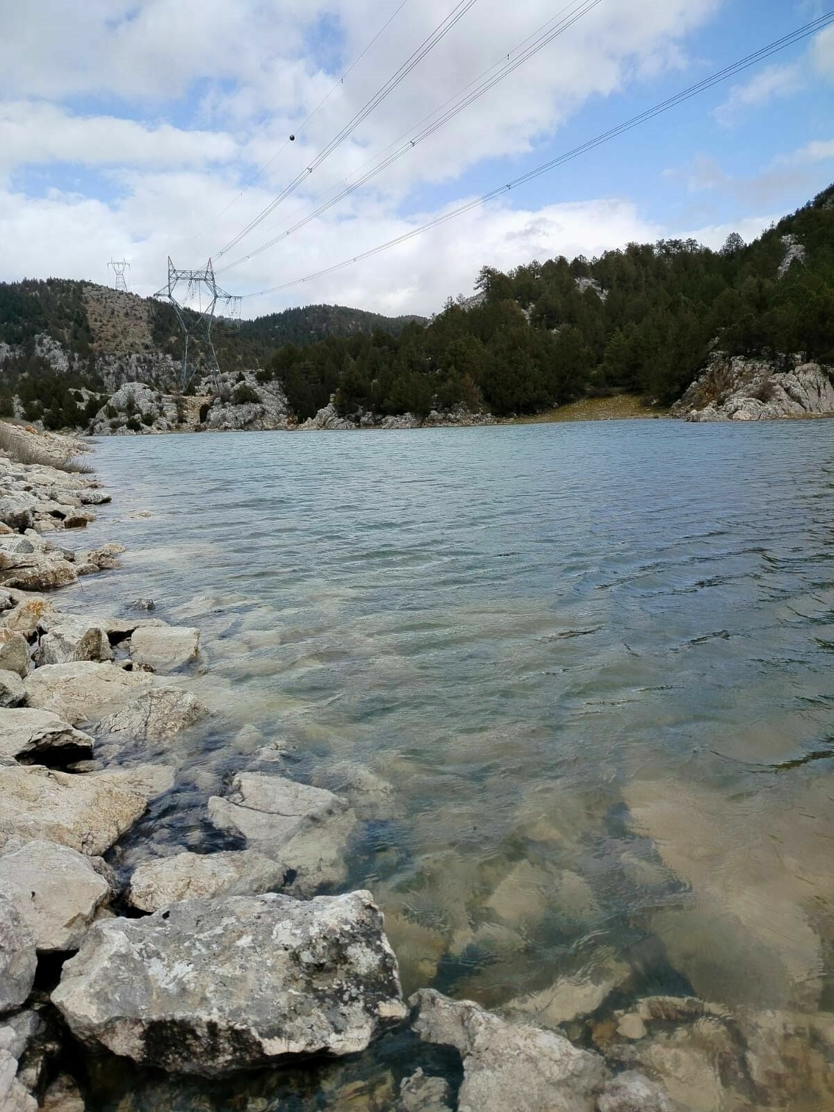 A W636921 02