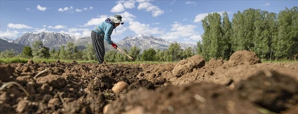 Konya Tariminda Engelleri Yagis Ve Gubreleme Asacak 18267 Qykzhl